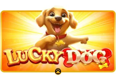 8g77 Slot Games Bonus နှင့် Free Spins ဆုကြေး